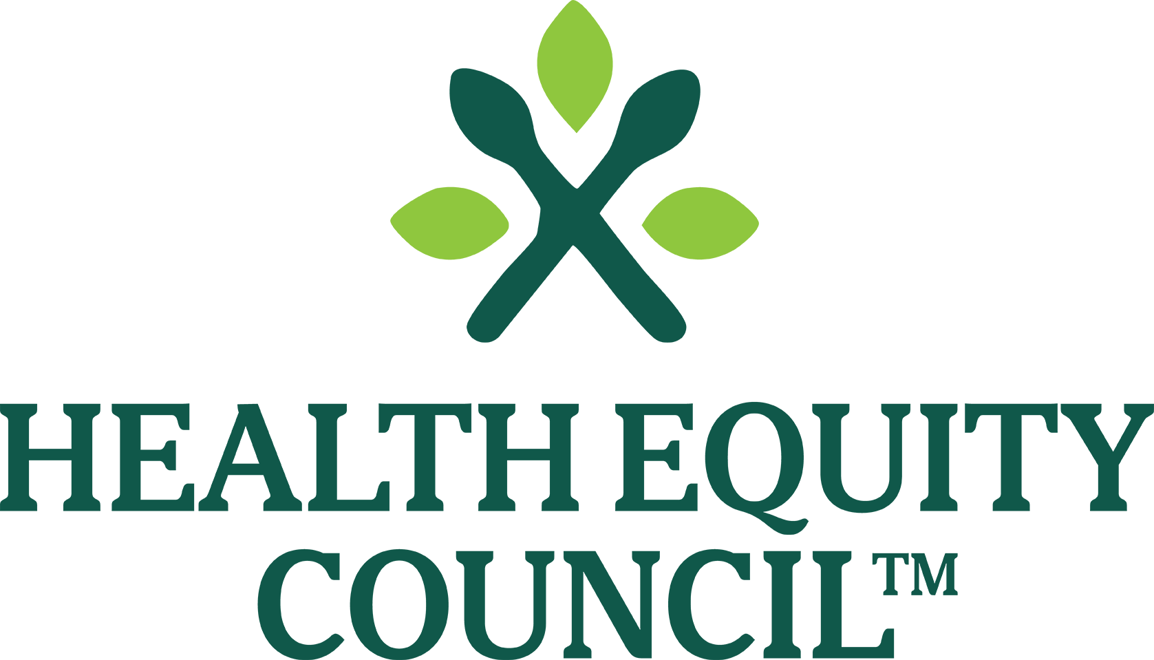Health Equity Council™