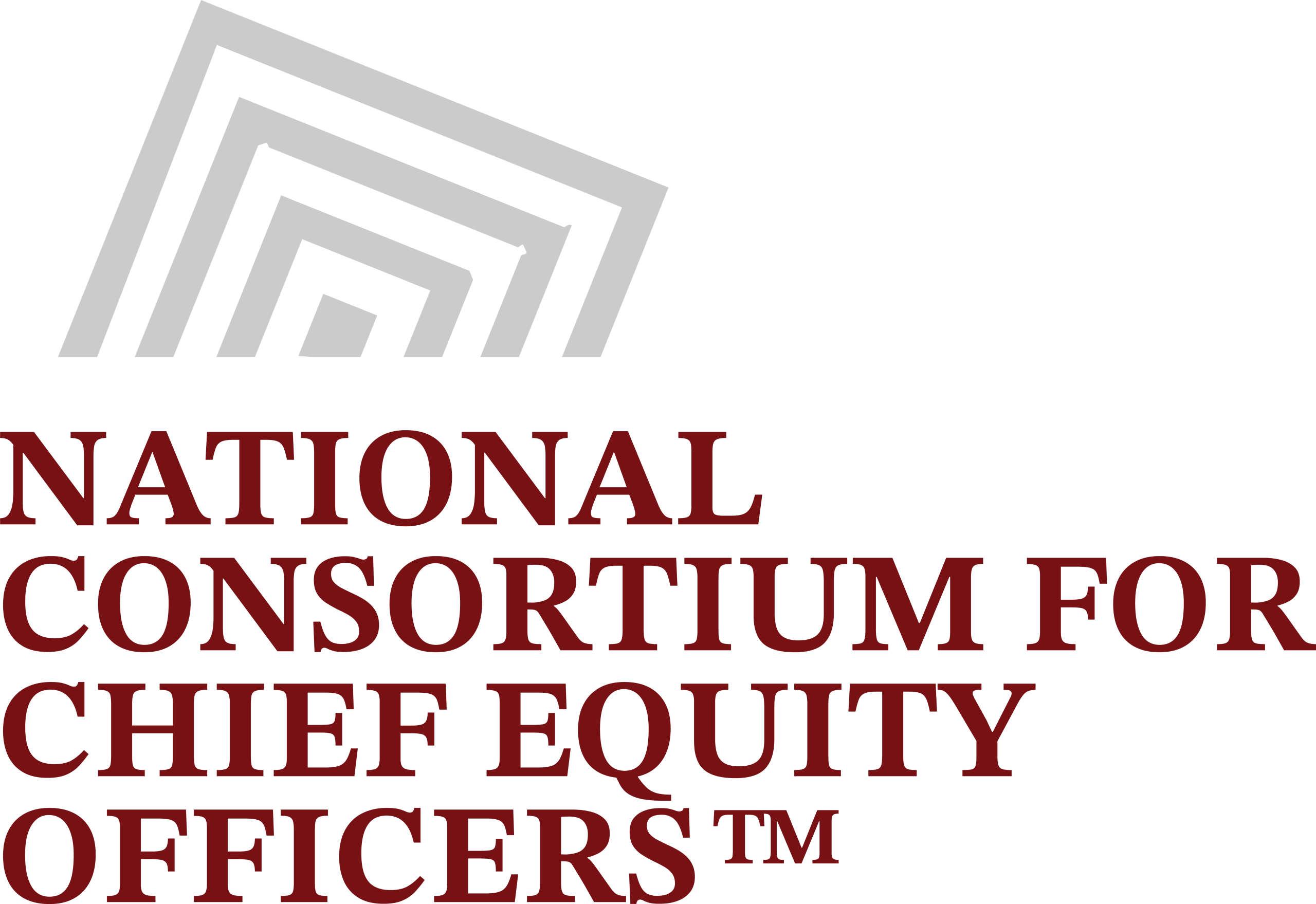 National Consortium for Chief Equity Officers™